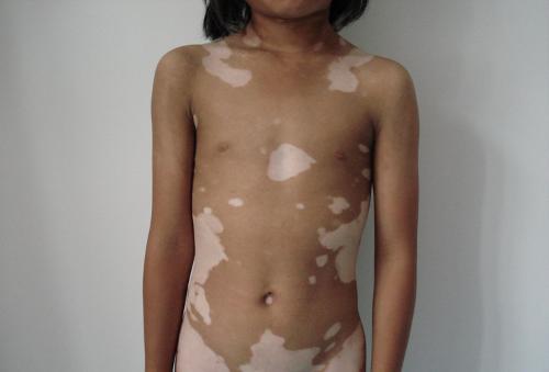 �Ĕ��i�͂�ςj�^ 